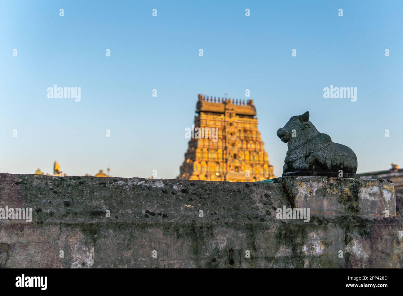 Antico tempio indiano del sud a Chidambaram con Nandhi di fronte al gopuram Shiva. Gopuram di un tempio in lontananza illuminato di colore dorato Foto Stock