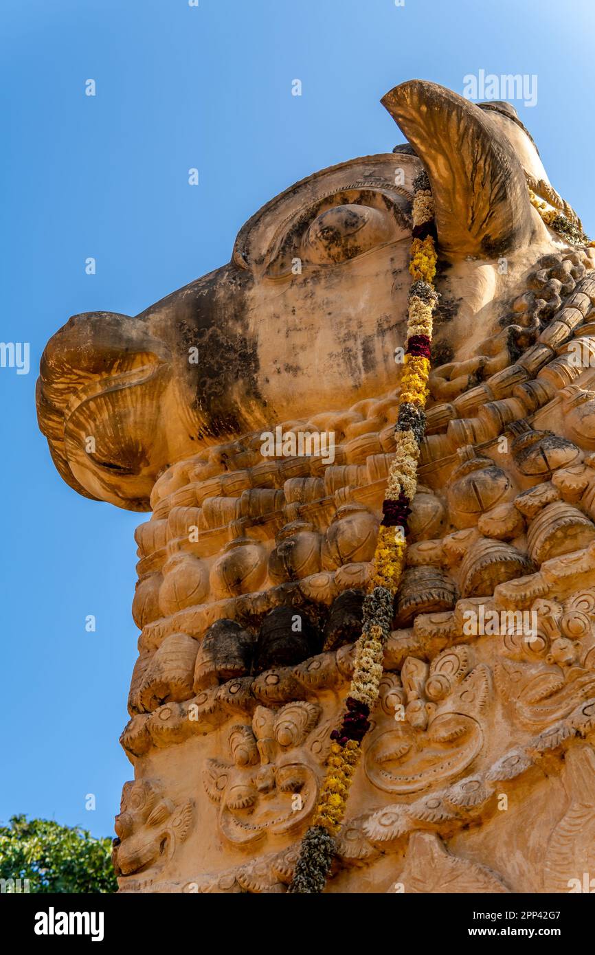 Massiccio nandhi dio in gangai konda cholapuram tempio. Foto Stock