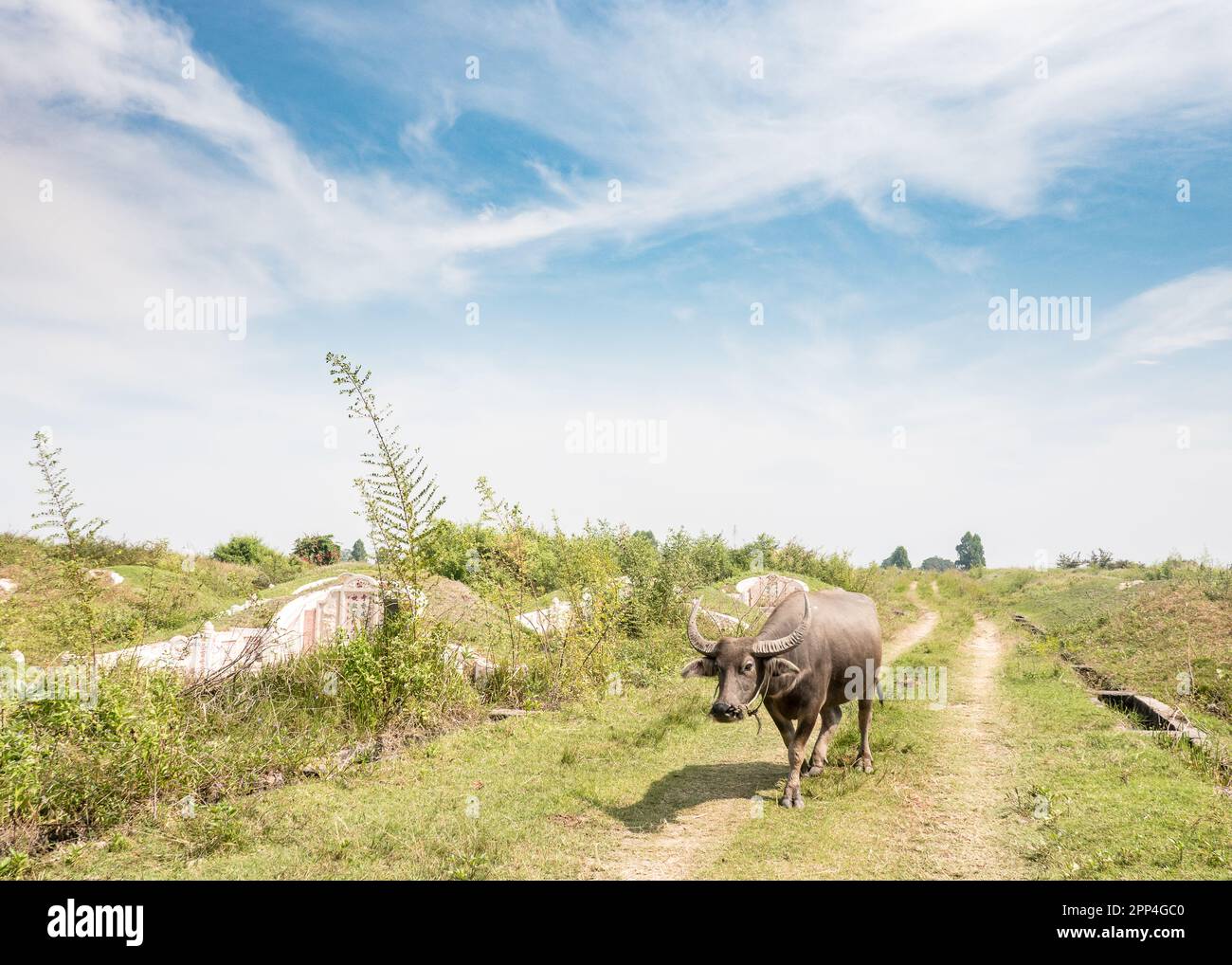 CHONBURI, THAILANDIA : il cimitero di Jing Gung il 11 dicembre 2016 a Chonburi Thailandia. Foto Stock