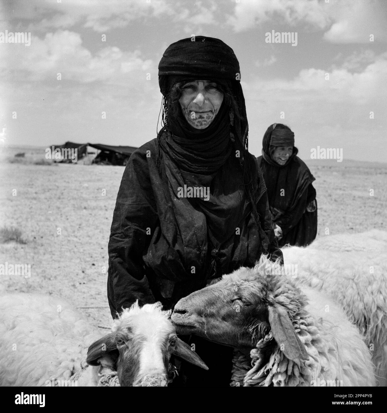 Ritratto di una donna beduina con pecora in Siria intorno al 1950. Fotografo: Willem van de poll Foto Stock