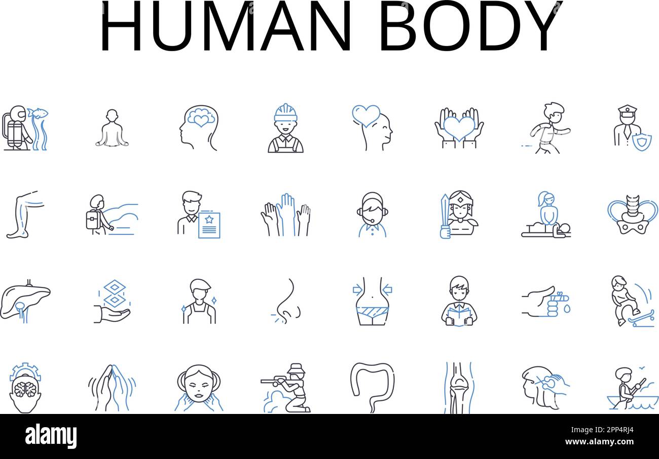 Collezione di icone della linea del corpo umano. Salute mentale, stile di moda, crescita economica, sostenibilità ambientale, potere politico, Economia globale, sociale Illustrazione Vettoriale