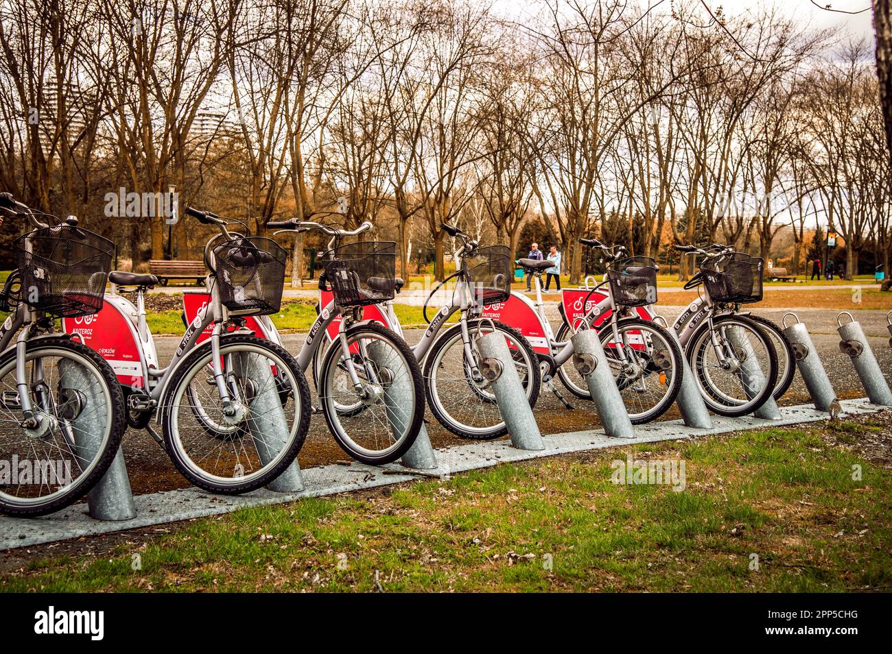 Chorzów, Slesia, Polonia; 2023 aprile: Stazione di noleggio bici Kajteroz nel vicolo principale del Parco Slesia in un giorno di primavera Foto Stock