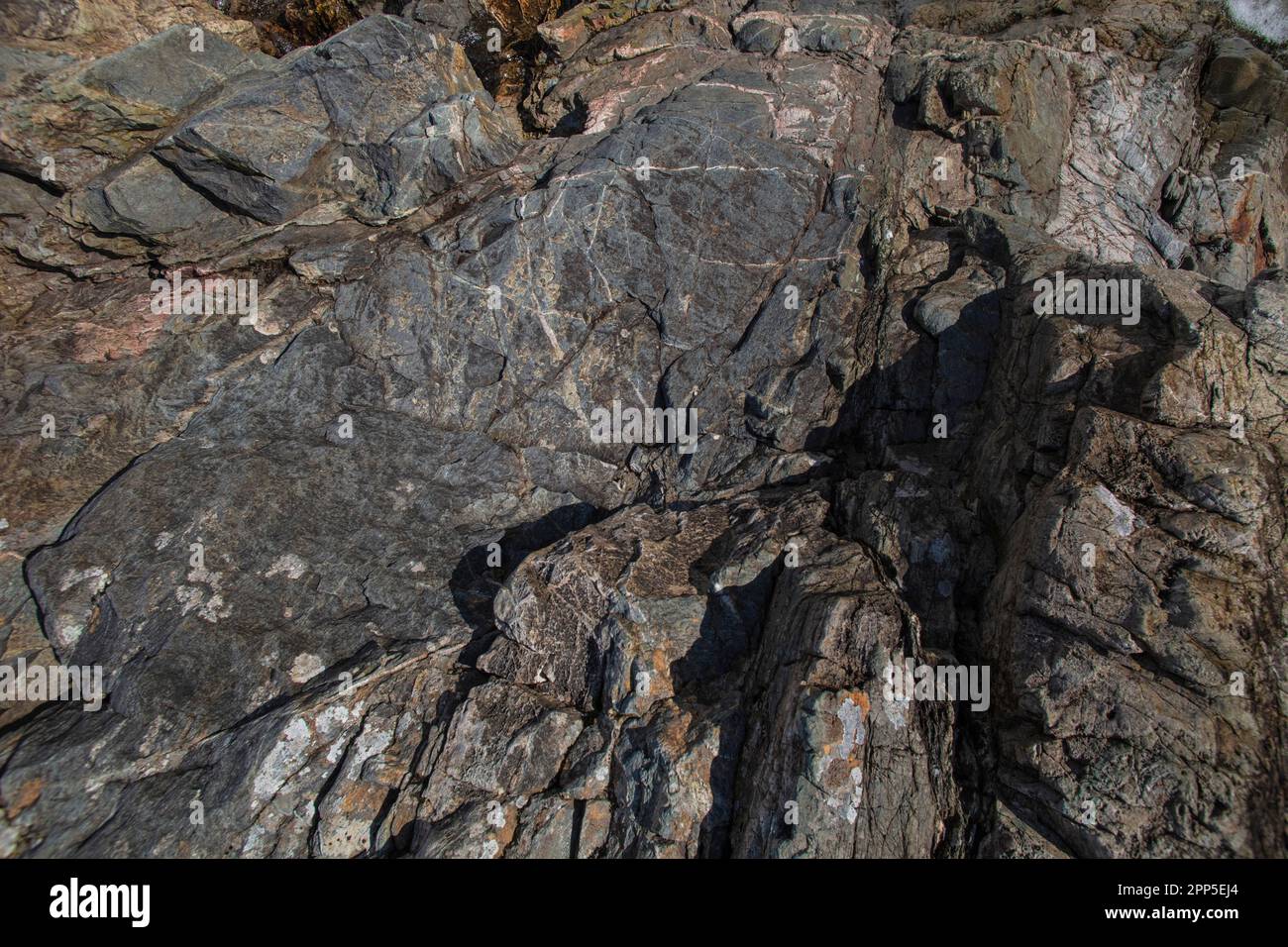 Hutton's Rock a Glen Tilt, Cairngorms, Scozia. Foto Stock