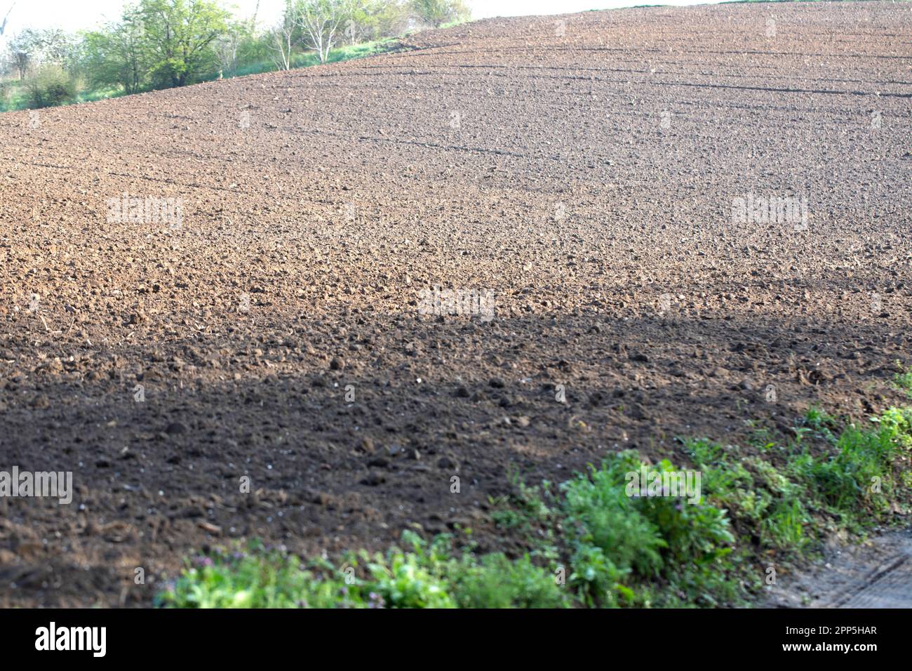 Agricoltura, il suolo, sporco dopo la semina primaverile. Polonia Foto Stock