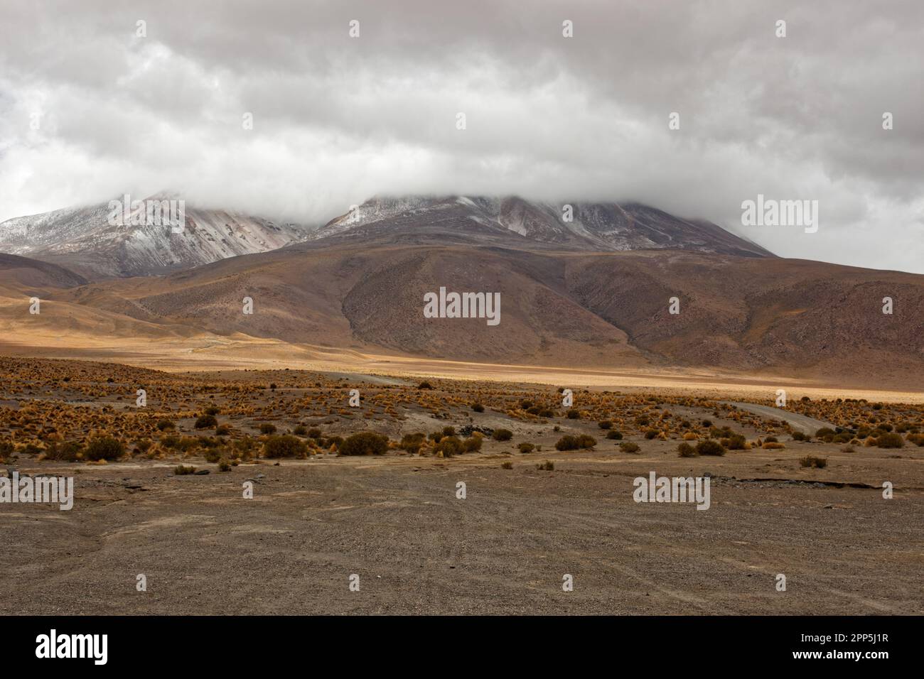 Una giornata fredda e nuvolosa a Laguna Cañapa, distretto di Potosí, Bolivia Foto Stock