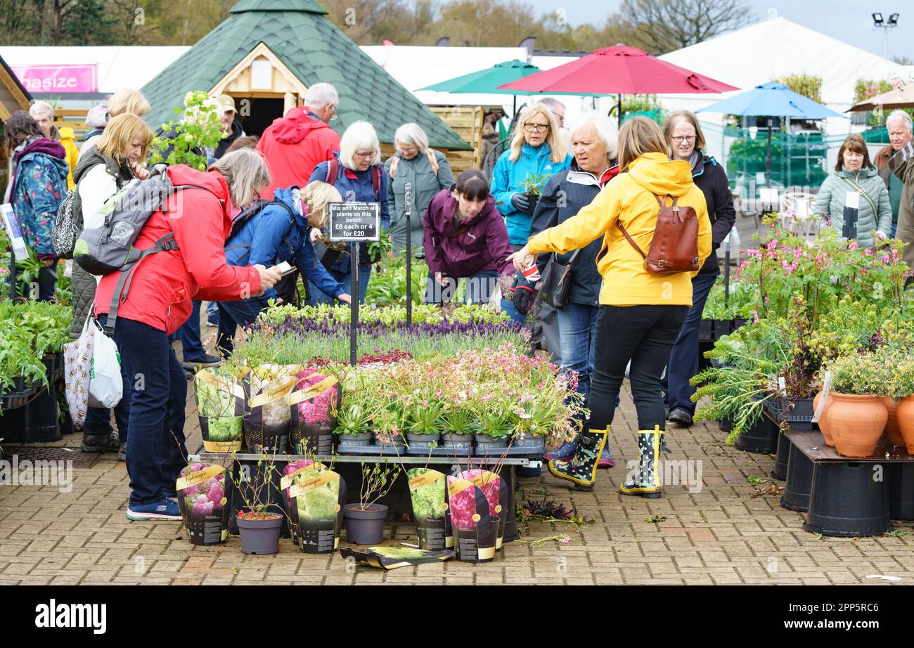 Harrogate, North Yorkshire, Regno Unito. 22nd Apr 2022. Harrogate Spring Flower Show è il primo grande evento del calendario del giardinaggio britannico e ospita la più grande mostra britannica di floricoltura e organizzazione dei fiori. Un evento di quattro giorni che accoglie migliaia di visitatori ogni anno, nonostante il tempo. Bridget Catterall AlamyLiveNews Foto Stock