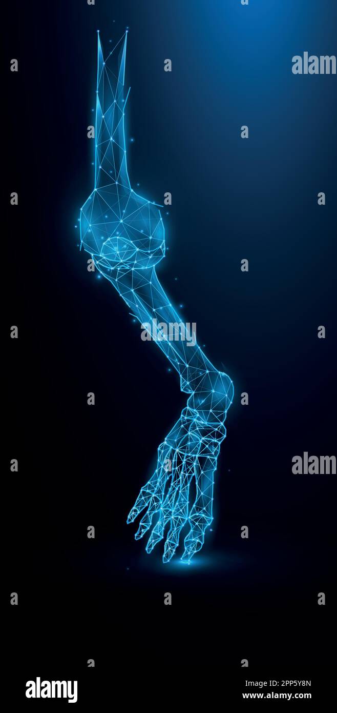 Illustrazione vettoriale poligonale delle ossa delle gambe su sfondo blu scuro. Ginocchio e articolazione della caviglia Design poligonale. Illustrazione Vettoriale