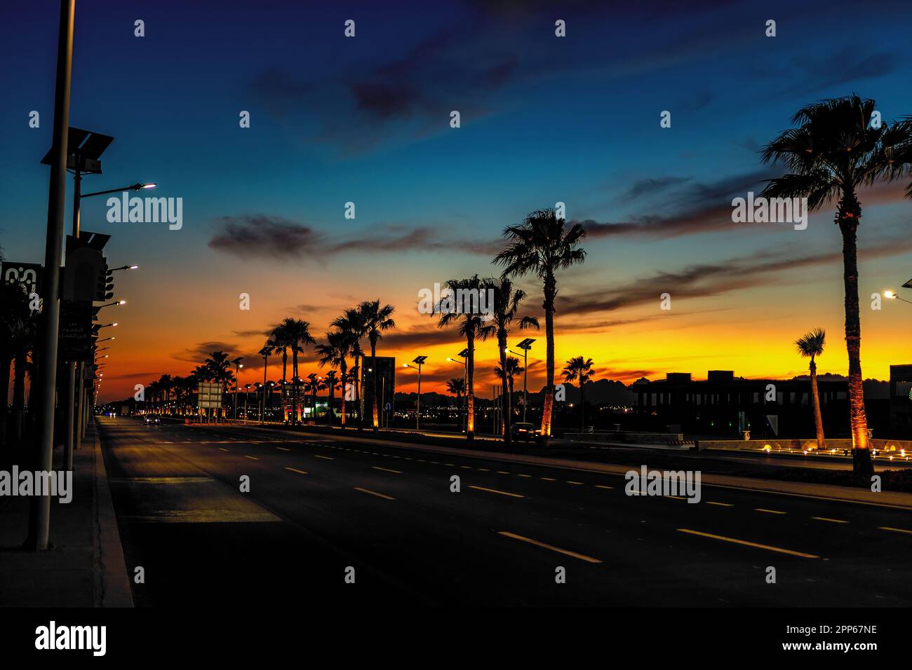 Vista notturna della strada con palme a Sharm el Sheikh in Egitto. Foto Stock