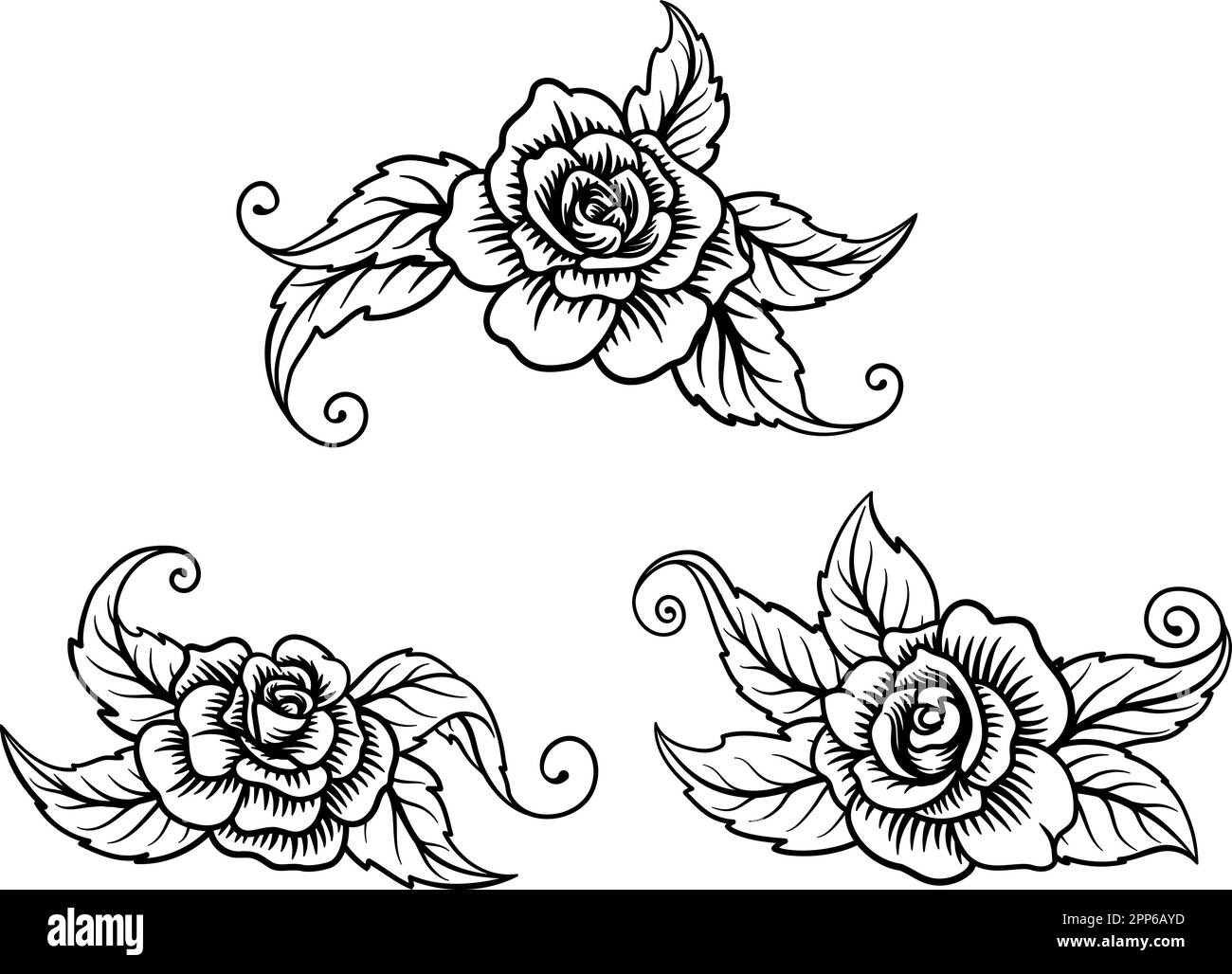 Roses Tattoo rosa incisa Woodcut Etching disegni Illustrazione Vettoriale