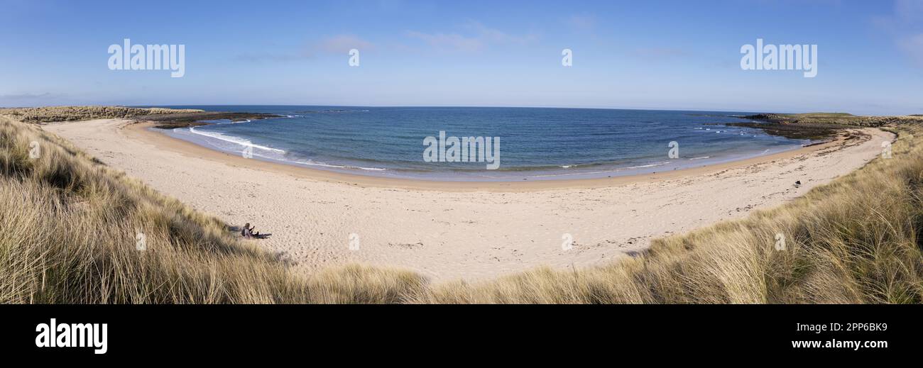 Panorama della spiaggia di Football Hole; una donna sulla spiaggia sabbiosa, Football Hole Bay, Low Newton, Northumberland Coast, Northumberland UK Foto Stock