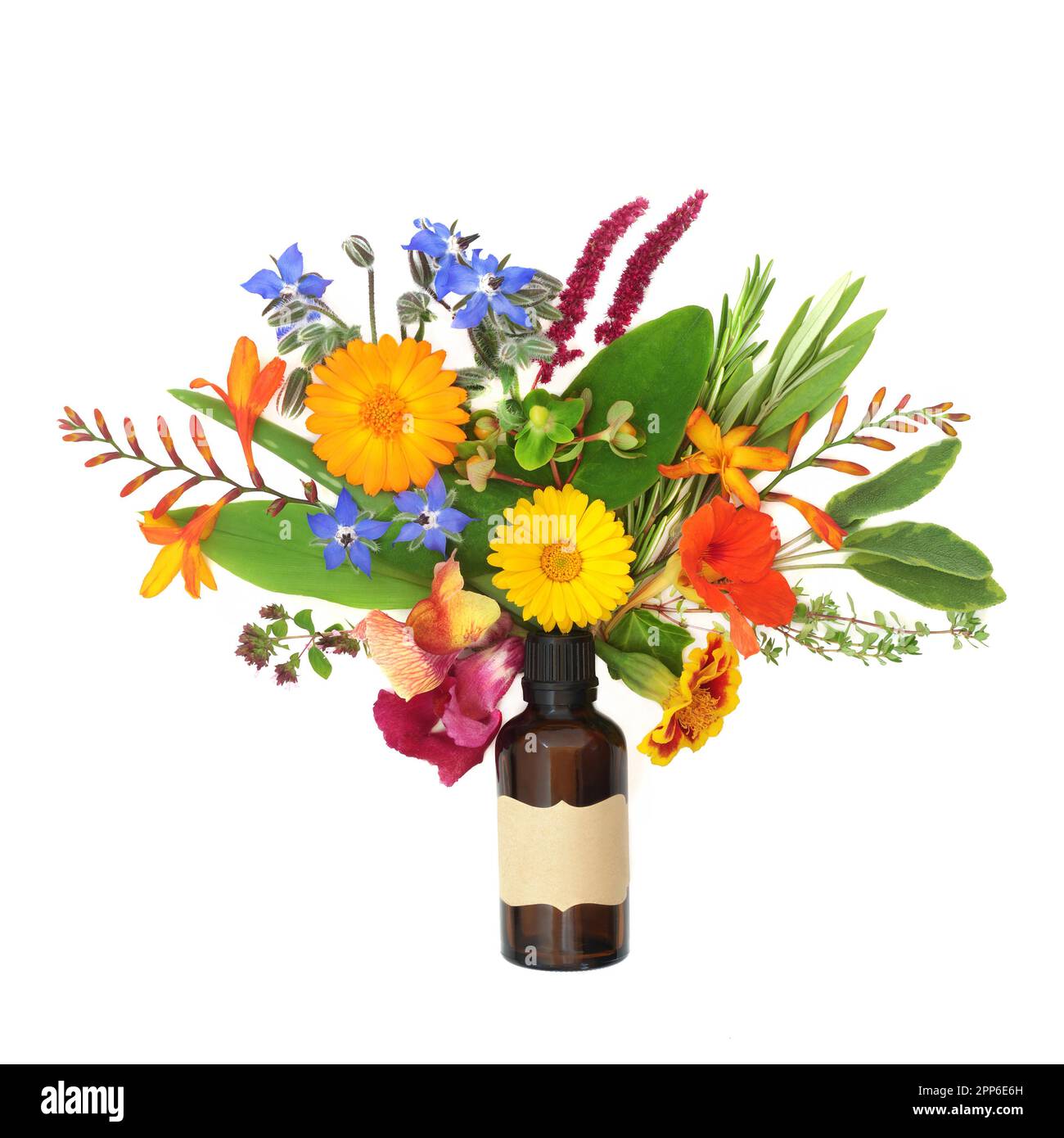 Astratto fiori estivi, fiori selvatici e arrangiamento con aromaterapia essenziale bottiglia di olio. Surreale pianta naturale medicina disegno floreale. Foto Stock