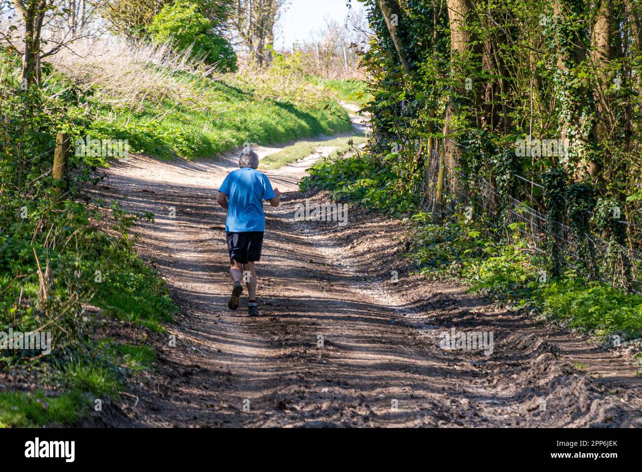 Un corridore negli ultimi anni di vita che corre su una pista di gesso asciutto all'inizio della primavera, dirigendosi verso Church Hill vicino a Findon, West Sussex, Regno Unito. Foto Stock