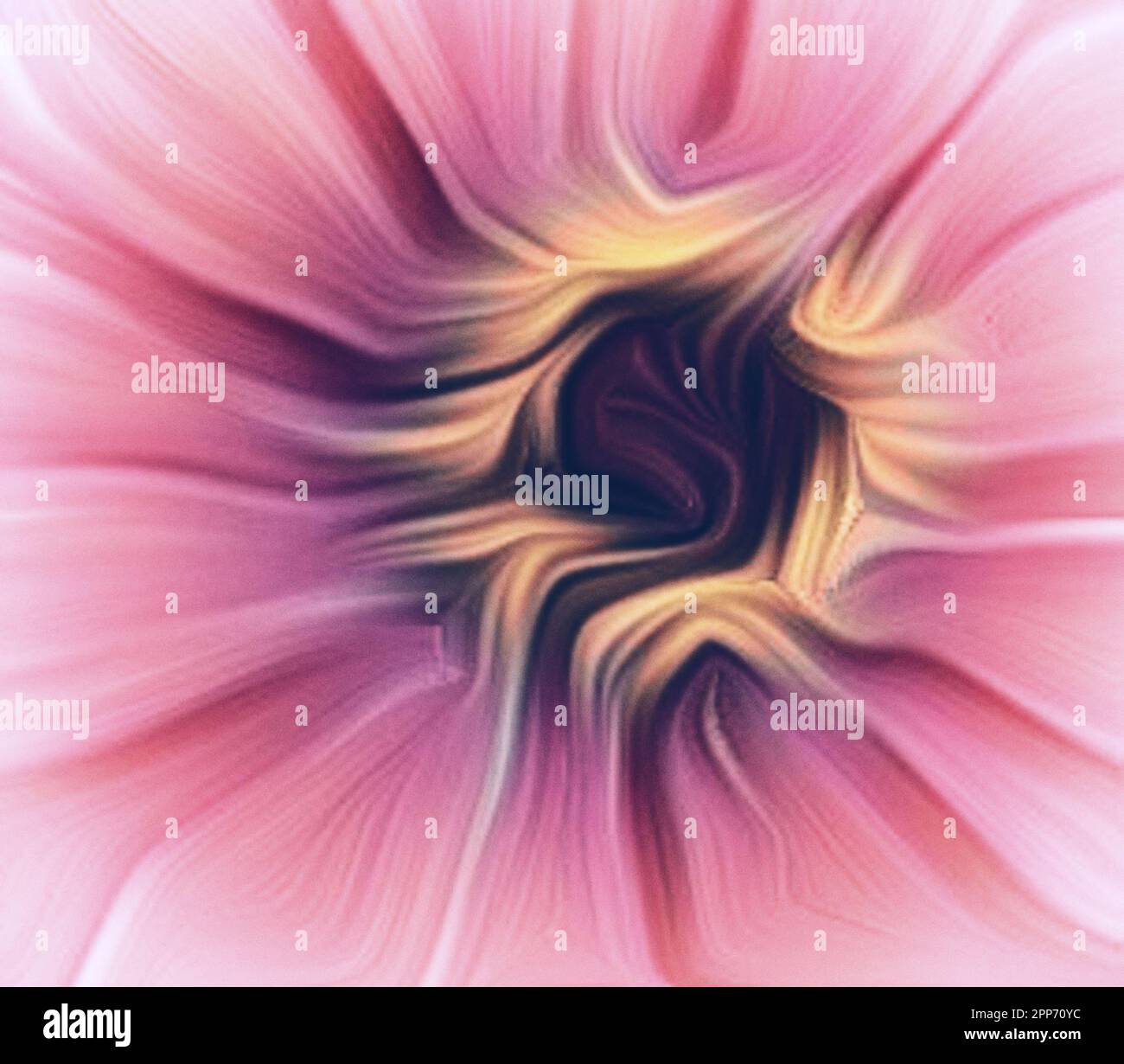 Sfondo rosa in forma di fiore primo piano. Illustrazione Foto Stock
