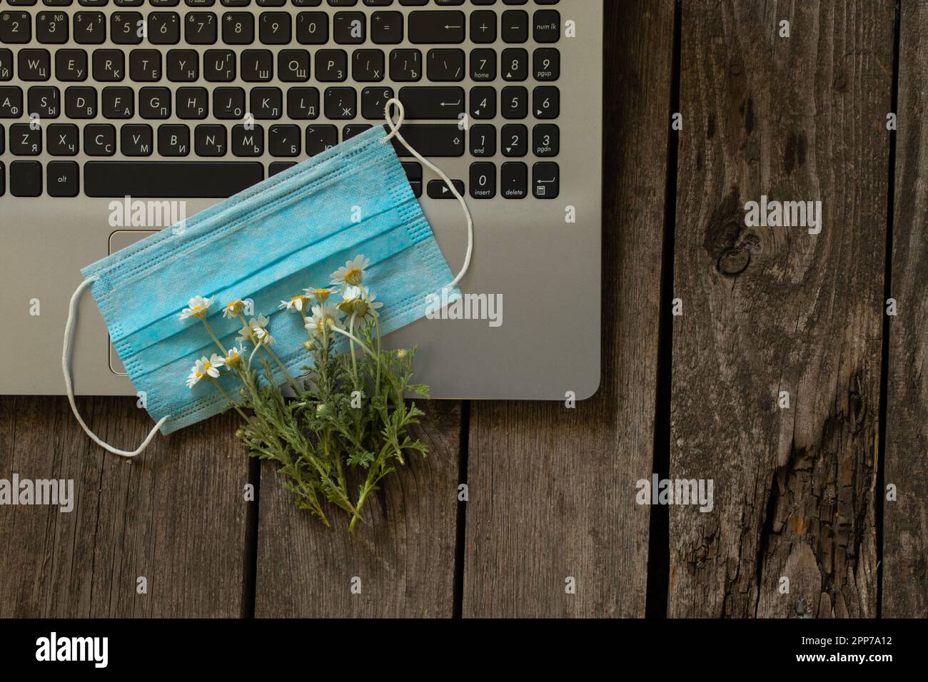 laptop maschera medica e fiori camomilla su un tavolo Foto Stock