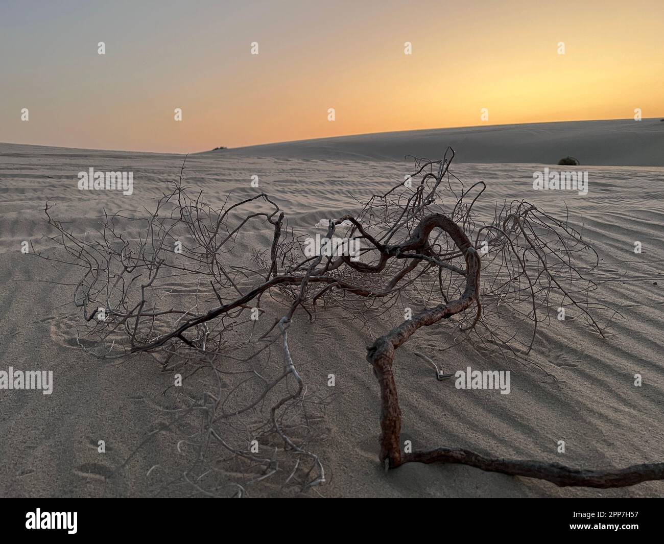 Inland Sea, Qatar - 10 novembre 2023: Bellissimo tramonto del mare interno. Deserto di Doha Foto Stock