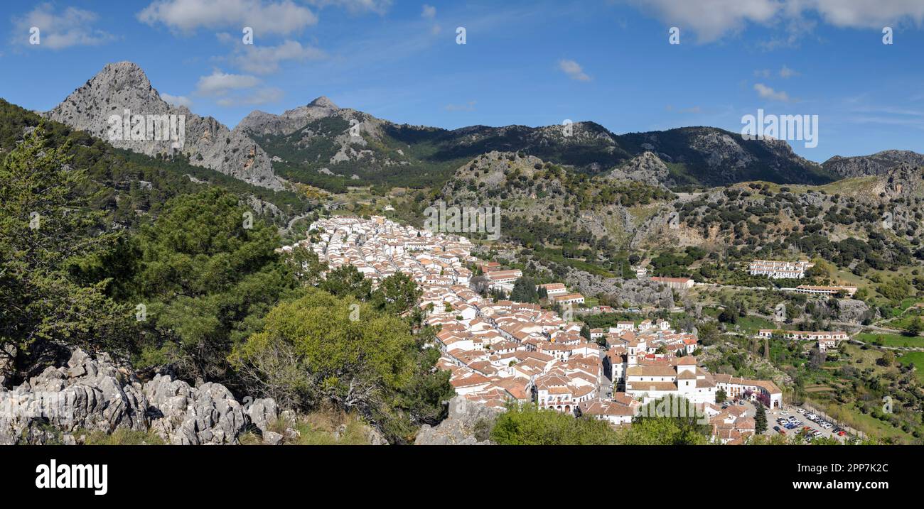 Parque Nacional de la Sierra de Grazalema. Provincia di Cadice. Andalucía Foto Stock