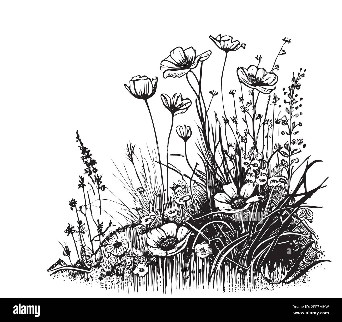 Fiori parte dell'illustrazione di schizzo disegnata a mano sul campo Illustrazione Vettoriale