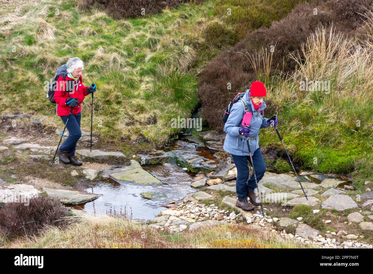 I membri del gruppo di Sandbach U3A si divertono a camminare sulle colline del Peak District sopra la città del Derbyshire di Buxton Inghilterra Foto Stock