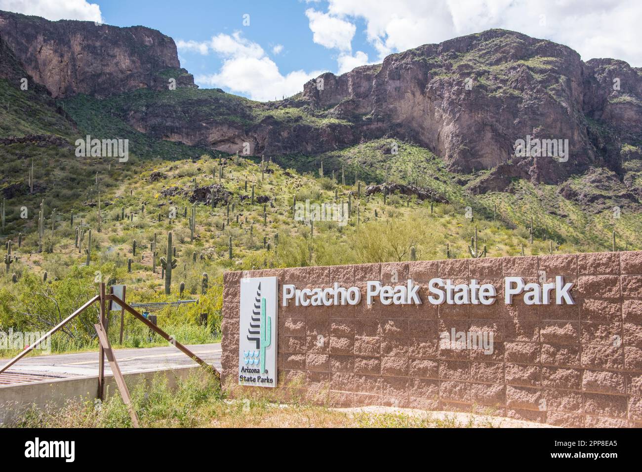 Paesaggi scenici dal Picacho Peak state Park, Picacho, Arizona, Stati Uniti, habitat del deserto di sonora con saguaros e fiori selvatici Foto Stock