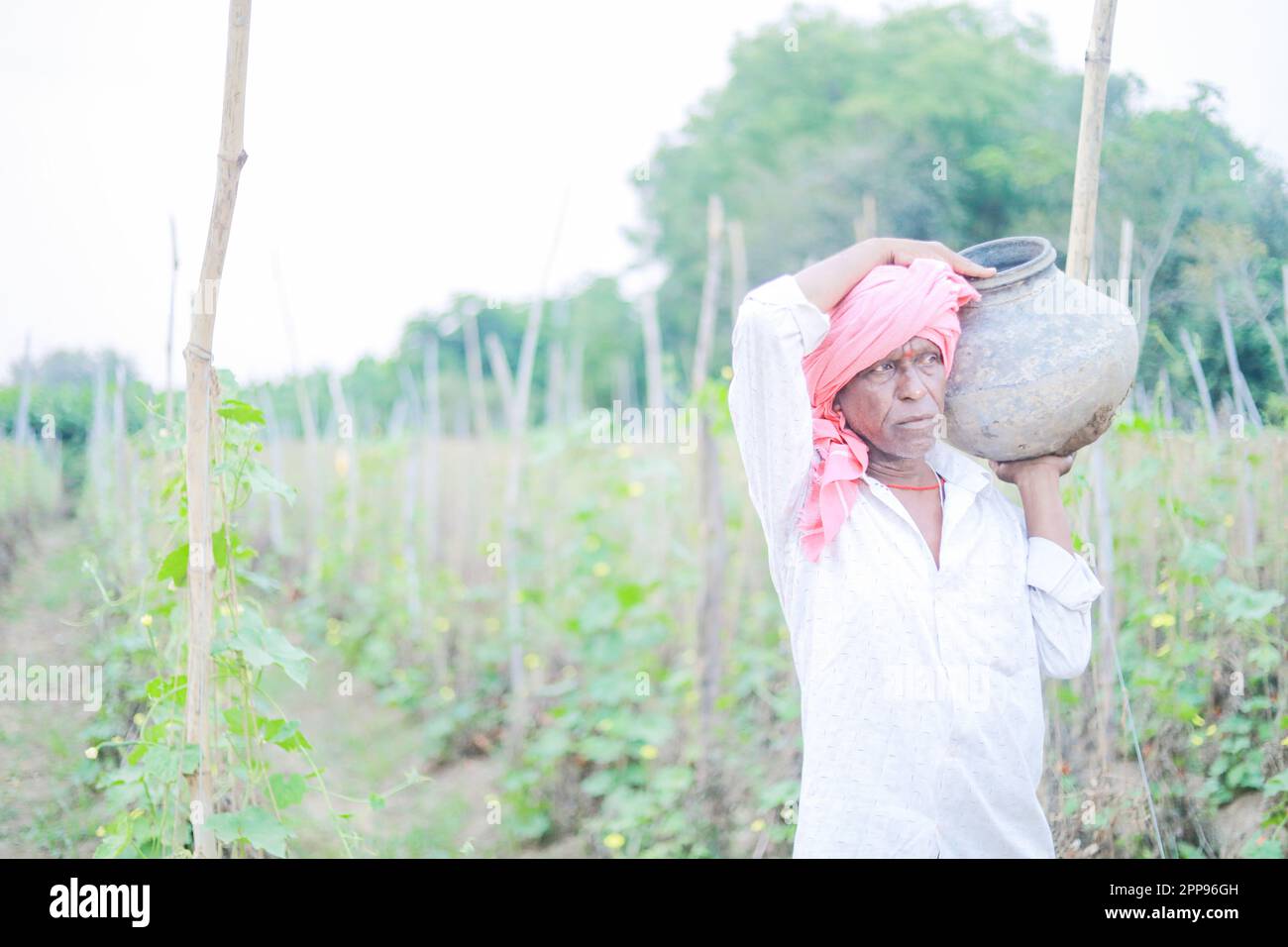 Coltivatore indiano che tiene in mano il pomodoro, coltivatore felice Foto Stock