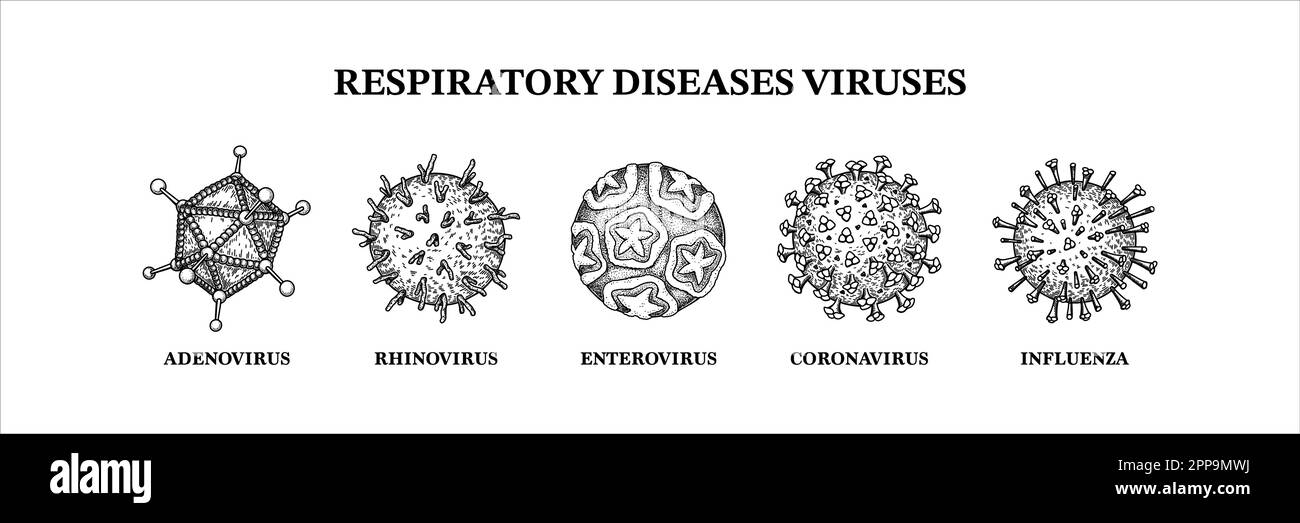 Virus delle malattie respiratorie. Set disegnato a mano di microrganismi. Illustrazione vettoriale scientifica nello stile di schizzo Illustrazione Vettoriale