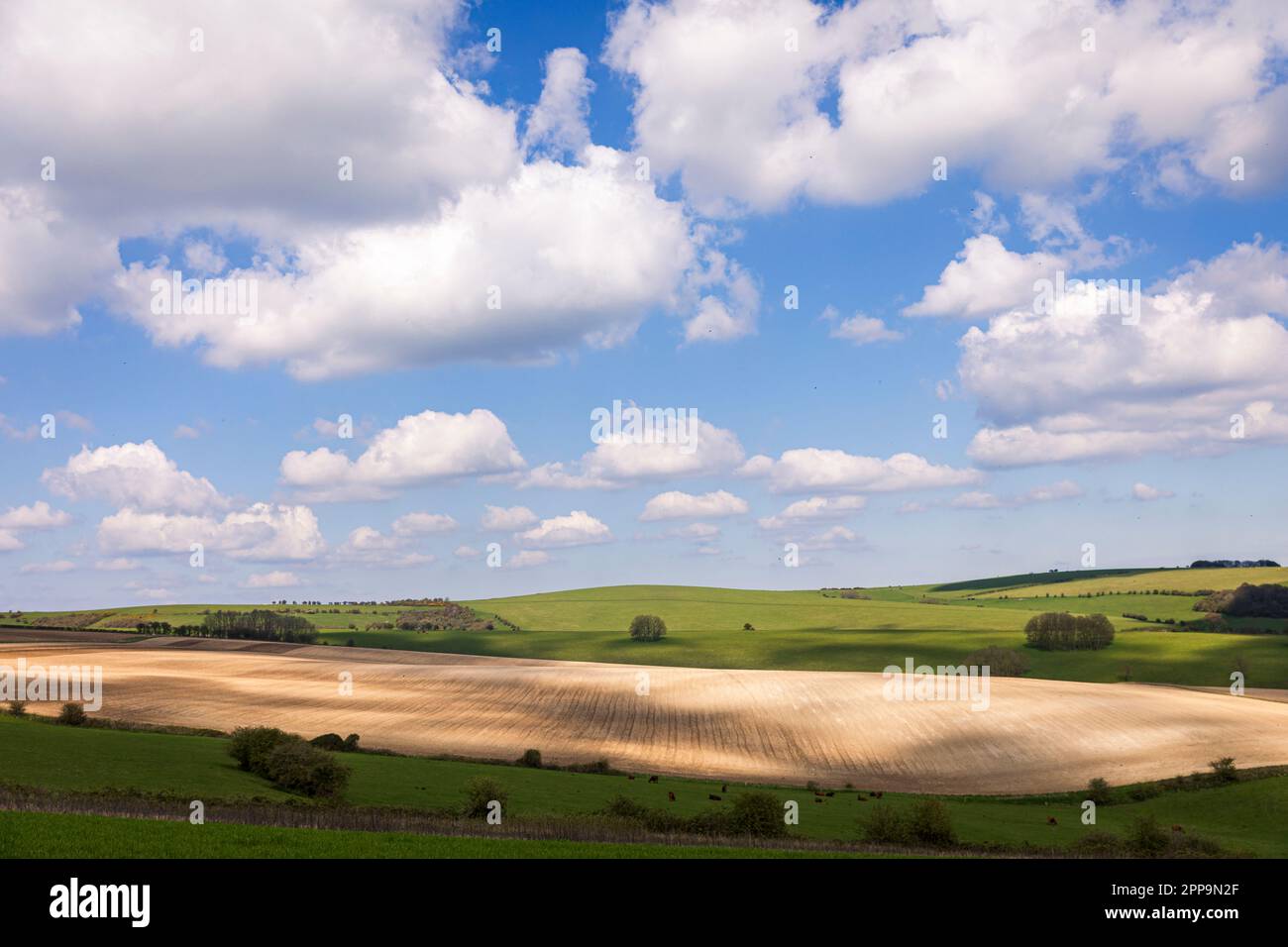 Splendida vista che guarda a est sul sud giù dalla periferia di Stamner Park est Sussex sud est Inghilterra Foto Stock
