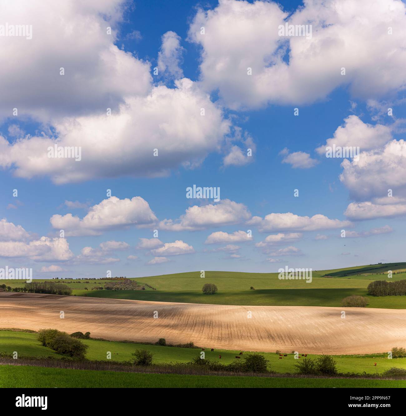 Splendida vista che guarda a est sul sud giù dalla periferia di Stamner Park est Sussex sud est Inghilterra Foto Stock