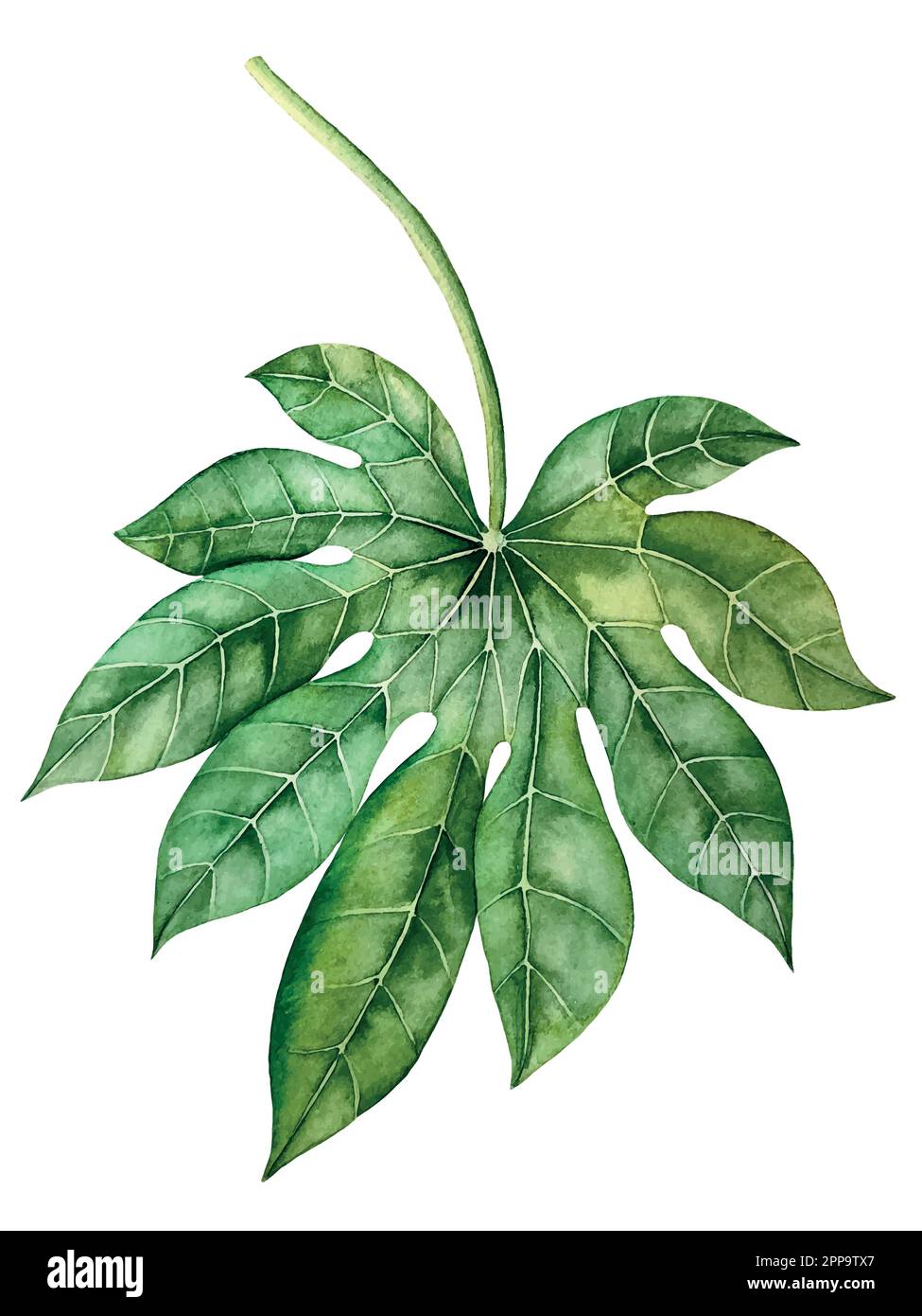 Set vettoriale acquerello di piante tropicali e fiori. Decorazioni esotiche. Illustrazione Vettoriale