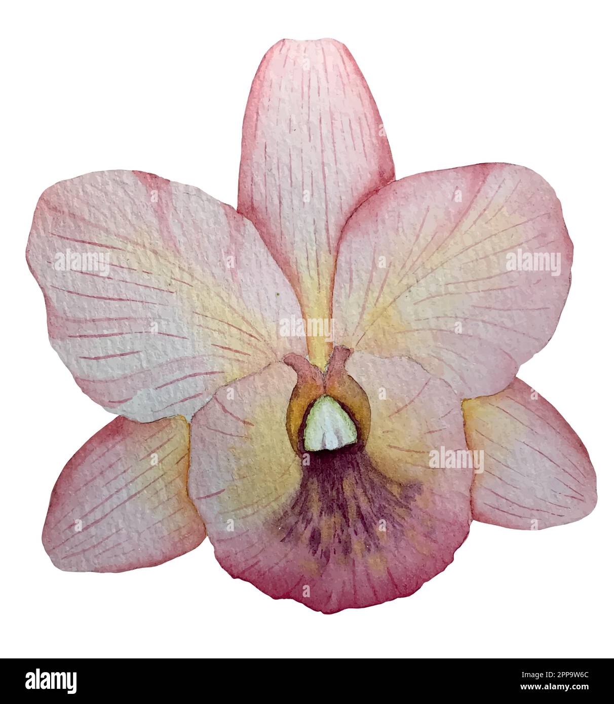 Set vettoriale acquerello di piante tropicali e fiori. Decorazioni esotiche. Illustrazione Vettoriale