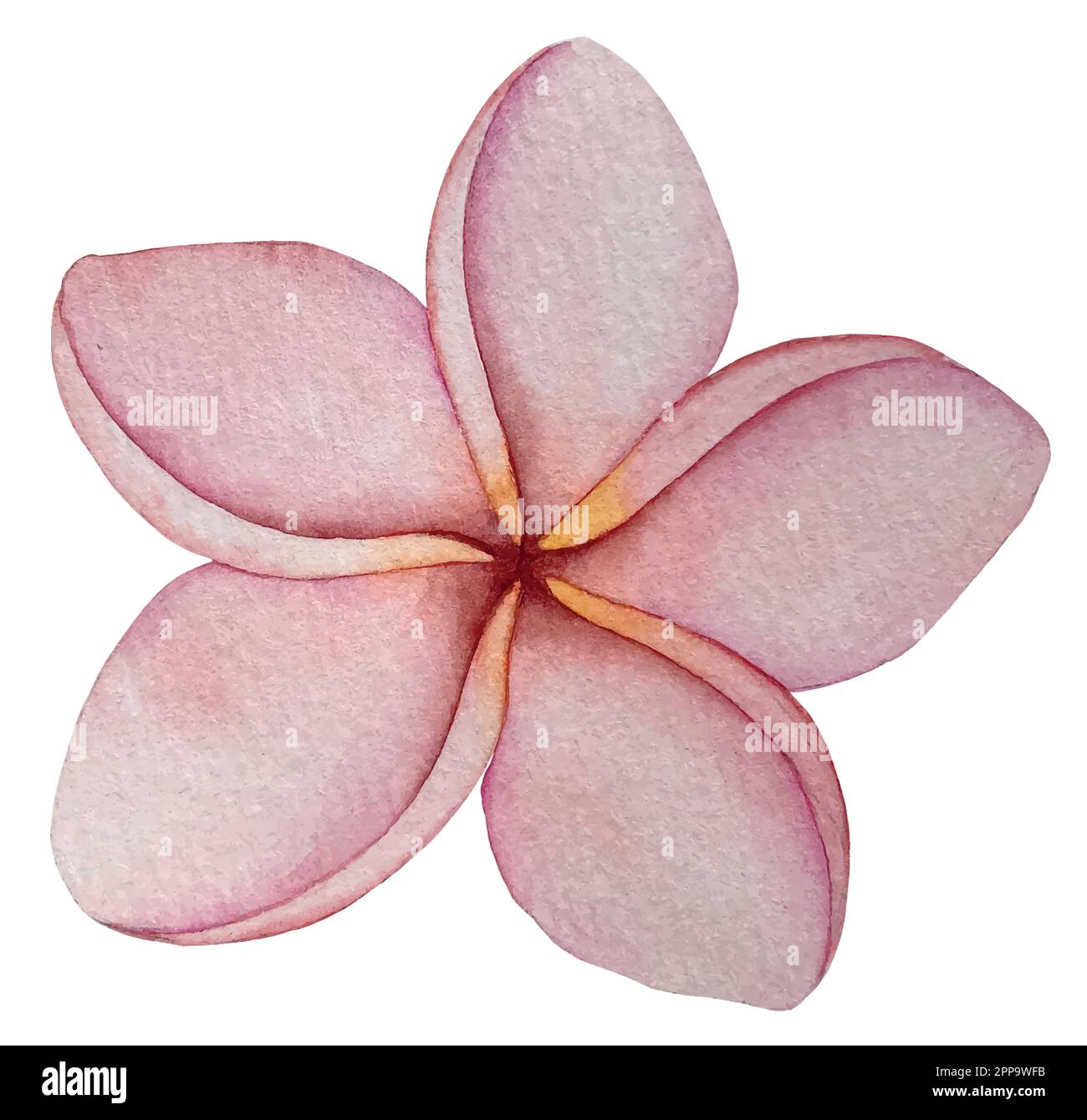 Set vettoriale acquerello di piante tropicali e fiori. Decorazioni esotiche. Illustrazione Vettoriale