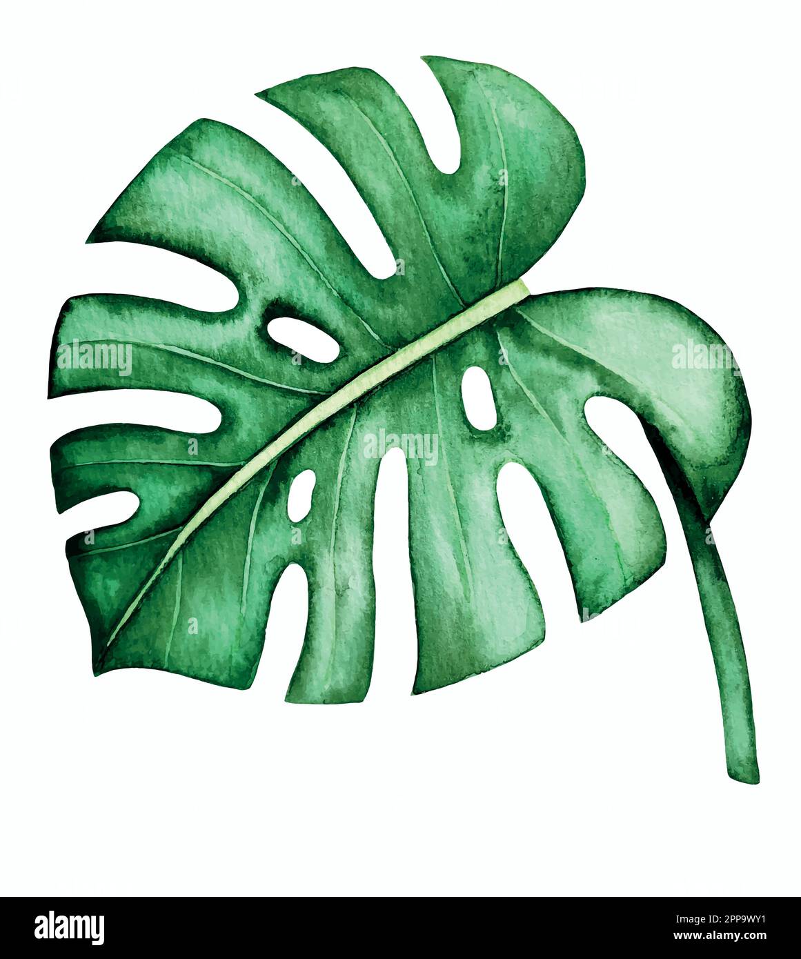 Set vettoriale acquerello di piante tropicali e fiori. Decorazioni esotiche. Illustrazione Vettoriale