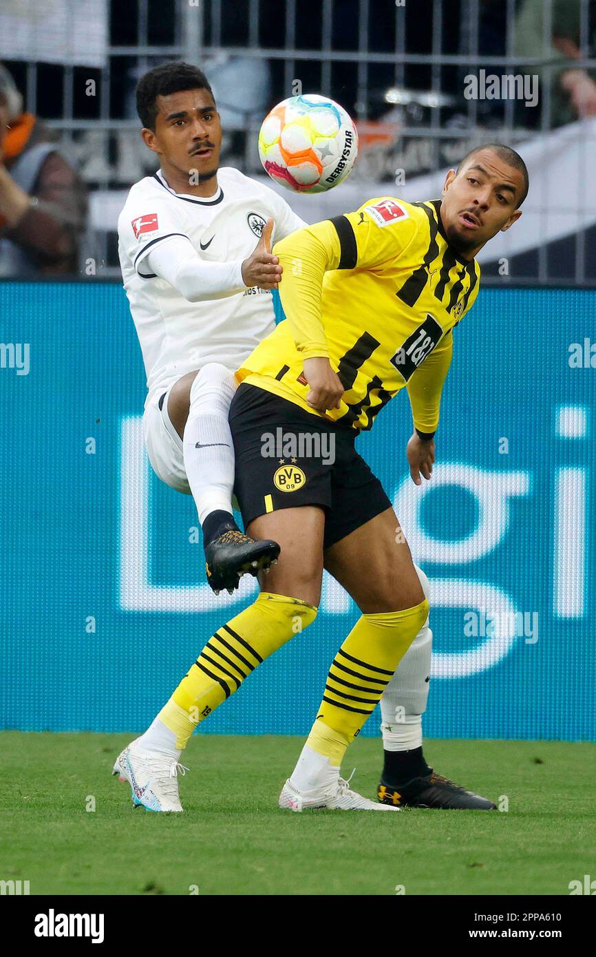 Dortmund, Germania, 1. Fussball Bundesliga Saison 2022 / 2023, 29. Spieltag, Borussia Dortmund : Eintracht Frankfurt 4-0 22. 04. 2023 im Signal-Iduna Park a Dortmund Ansgar KNAUFF (FFM) -L- und Donyell MALEN (BVB) -R- Foto: Norbert Schmidt, Duesseldorf Foto Stock