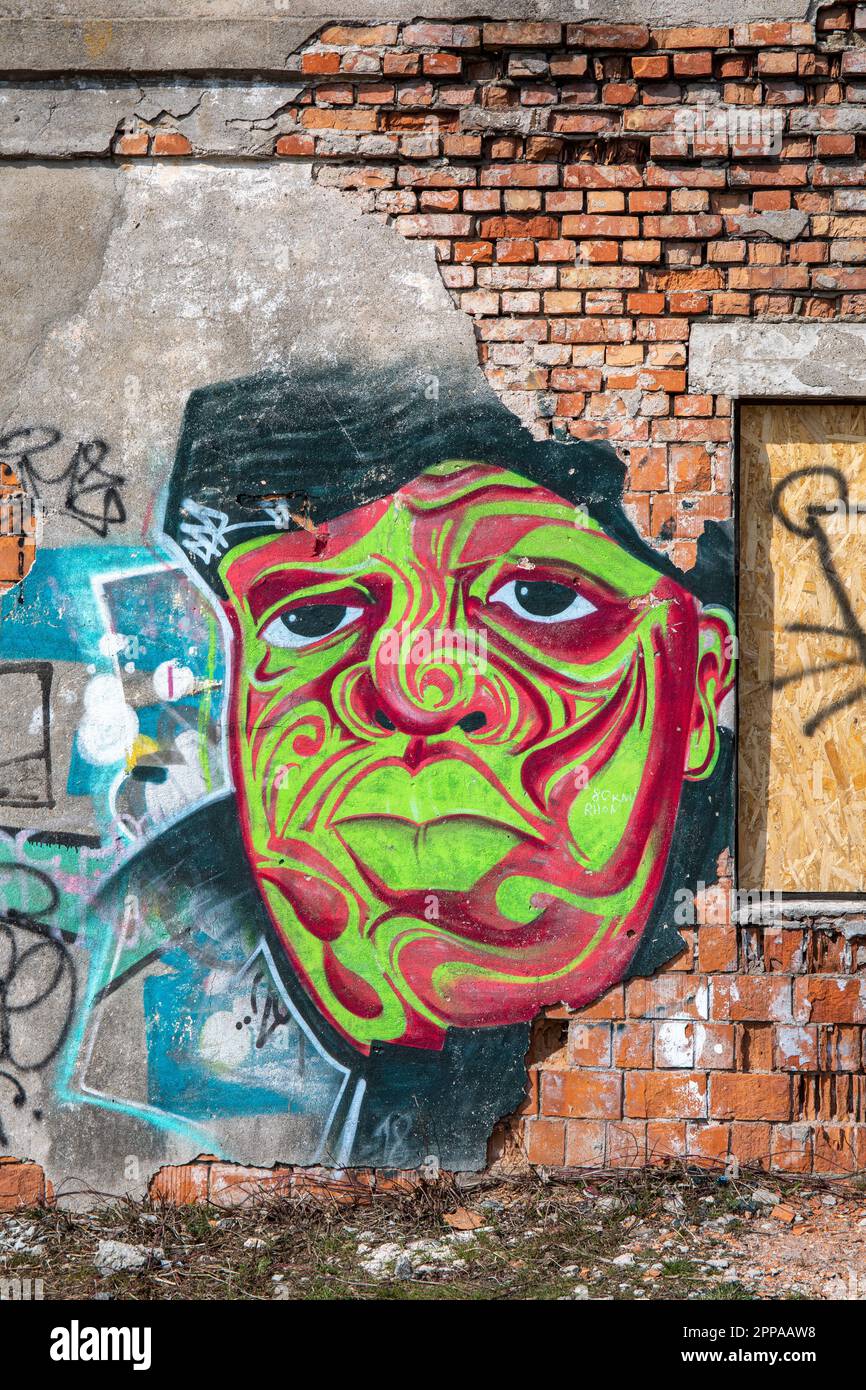 Solo per uso editoriale. Street art. Estone Graffiti murali su un muro di mattoni abbandonati nel distretto di Telliskivi a Tallinn, Estonia. Foto Stock