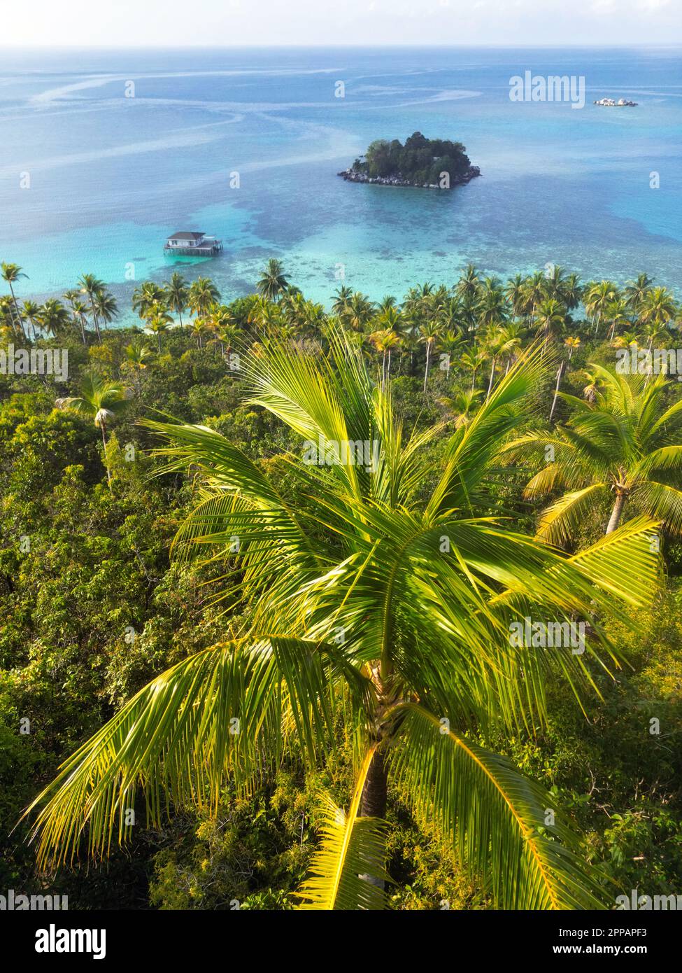 Indonesia Isole Anambas - Drone view Telaga Island linea costiera con palme Foto Stock