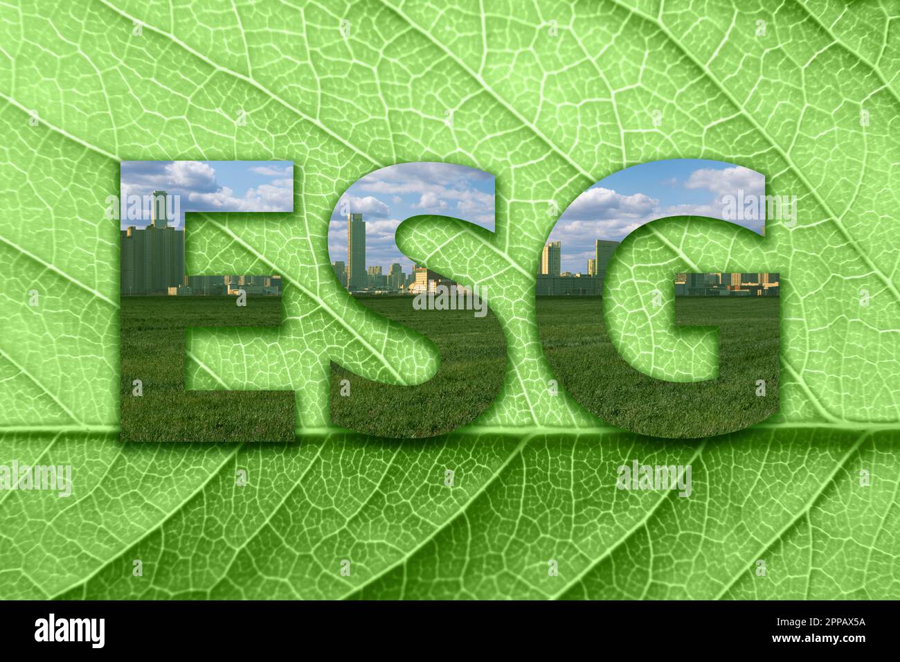 Concetto di ESG - quadro ambientale, sociale e di governance. Foto di alta qualità Foto Stock
