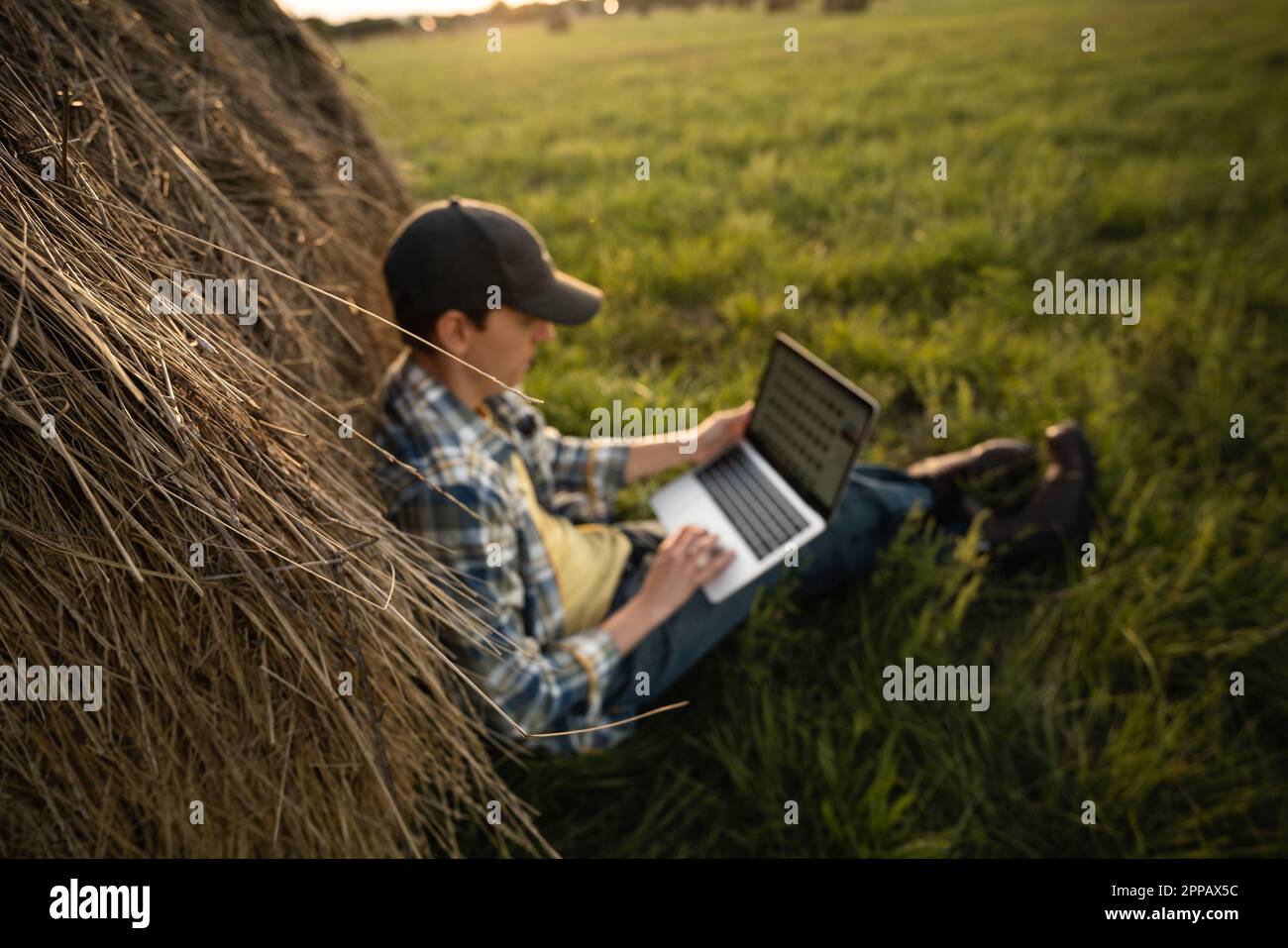 Contadino con computer portatile sul campo. Digitalizzazione intelligente dell'agricoltura e dell'agricoltura. Foto di alta qualità Foto Stock