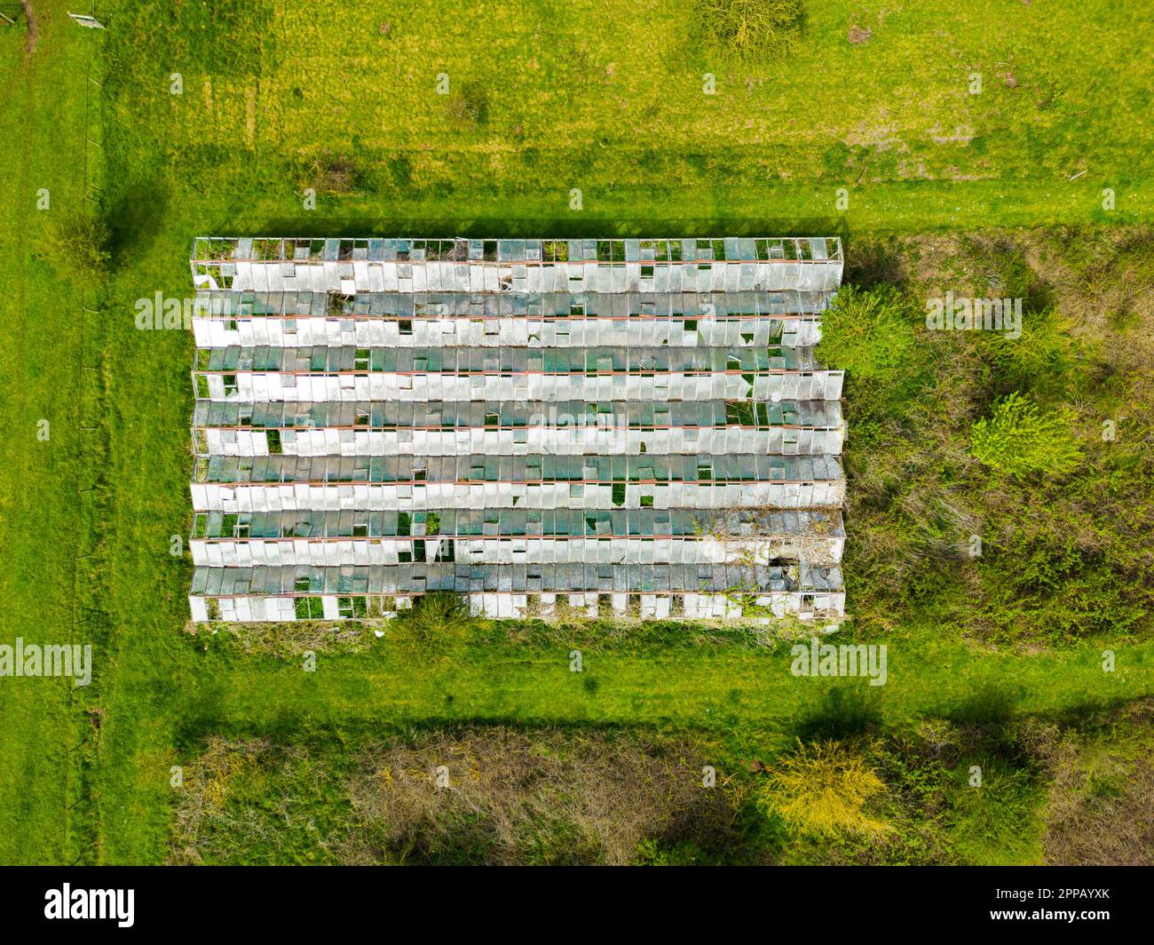 Vista dall'alto verso il basso di una grande casa di vetro che mostra strutture di tetto in vetro rotte e piante selvatiche che crescono all'interno. Foto Stock