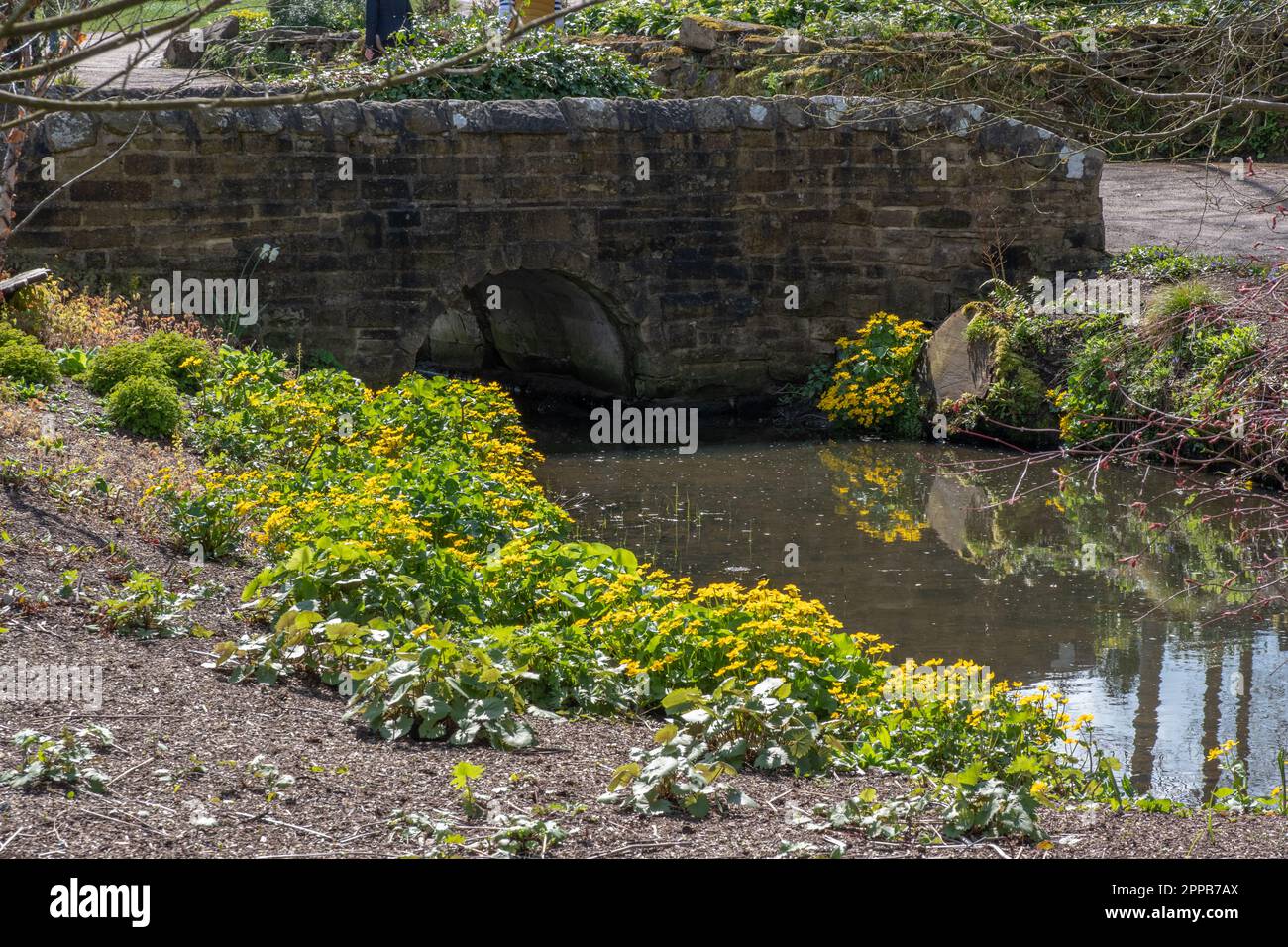 The Beck a RHS Harlow Carr Foto Stock