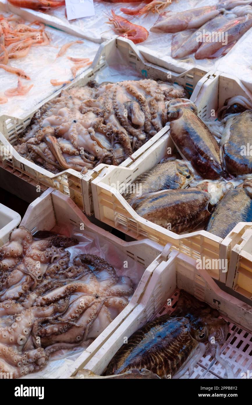 Vaschette di calamari e polpi in vendita a Catania mercato del pesce, Sicilia, Italia Foto Stock