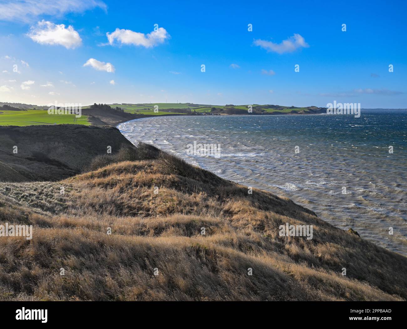 Flade, Danimarca. 30th Jan, 2023. Vista dalla scogliera Hanklit sul lato nord-est dell'isola di Morsö. Hanklit sorge a circa 61 metri sopra il Limfjord. Credit: Patrick Pleul/dpa/Alamy Live News Foto Stock