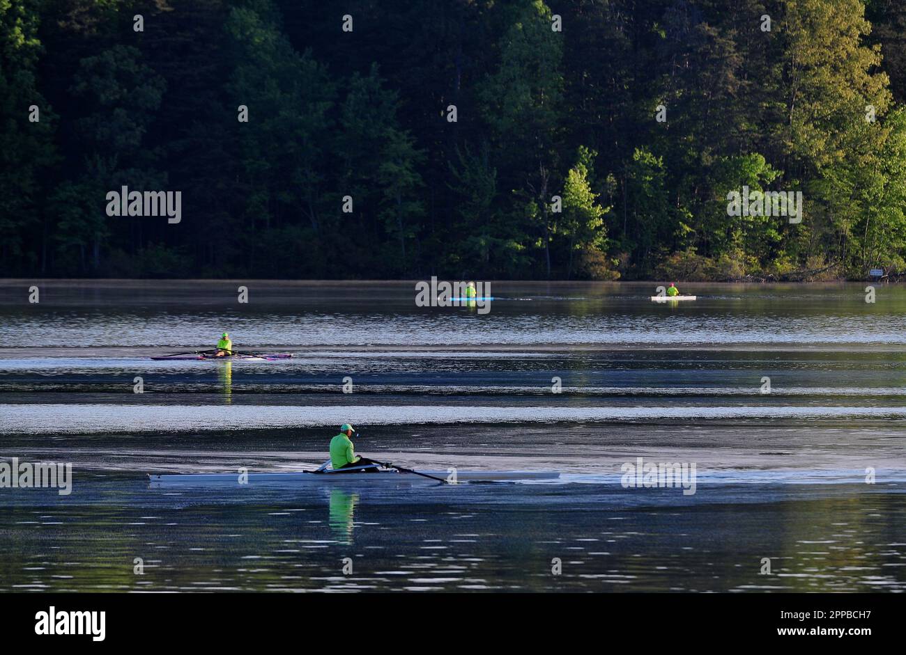 Club di canottaggio su un lago fermo Foto Stock