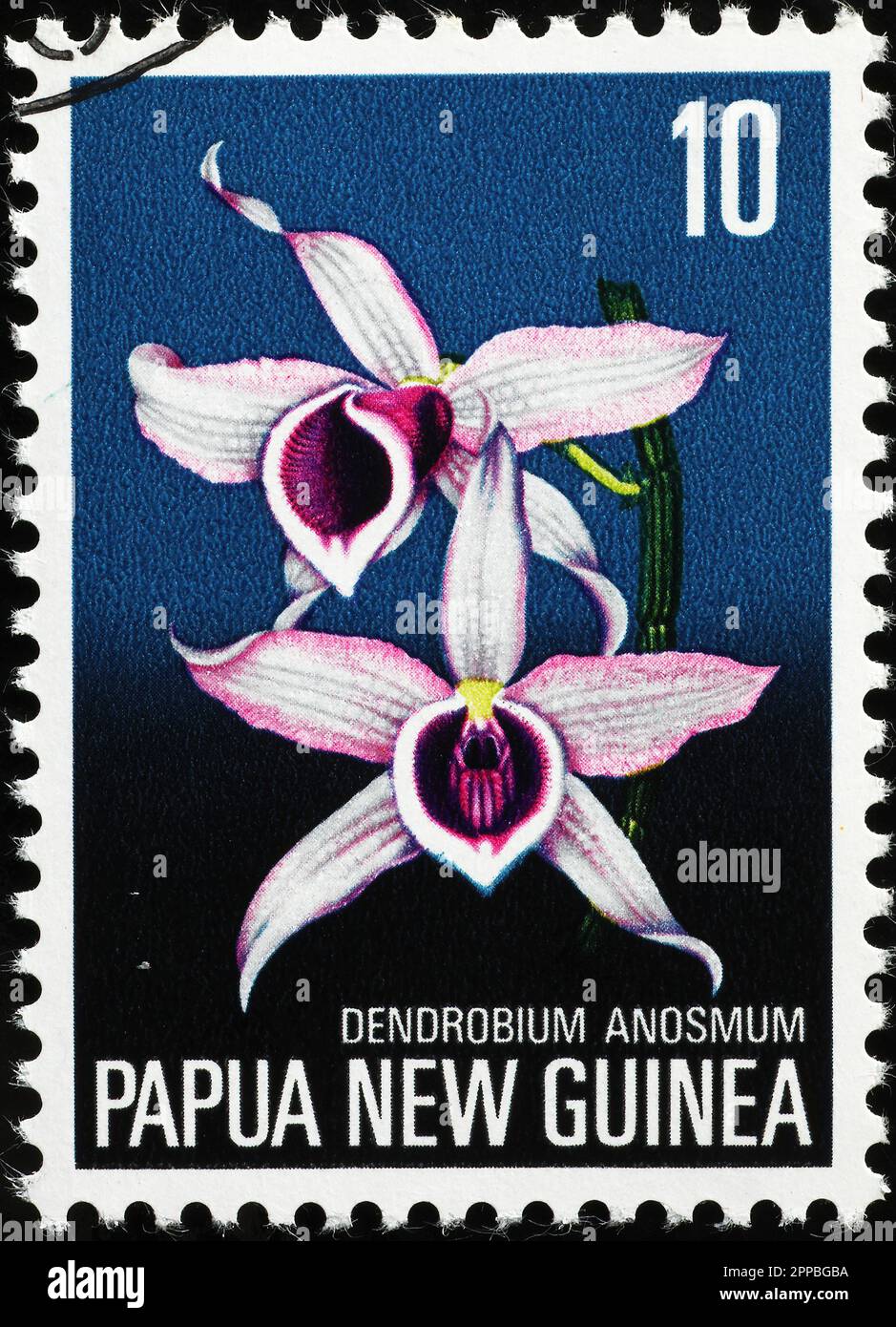 Due belle orchidee sul francobollo di Papua Nuova Guinea Foto Stock