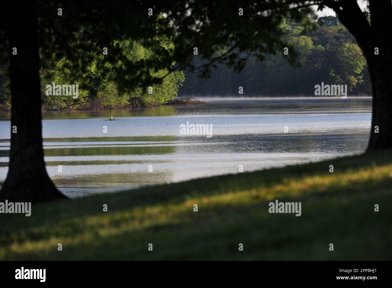 I vogatori di mattina presto sul lago Foto Stock