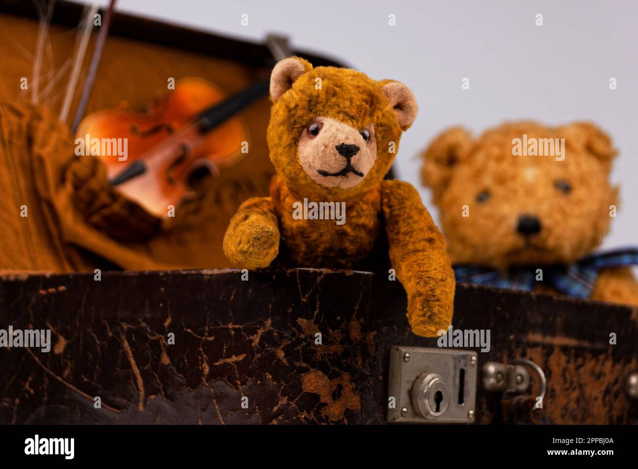 due teddie all'interno di una piccola custodia vintage con accessori aggiuntivi Foto Stock