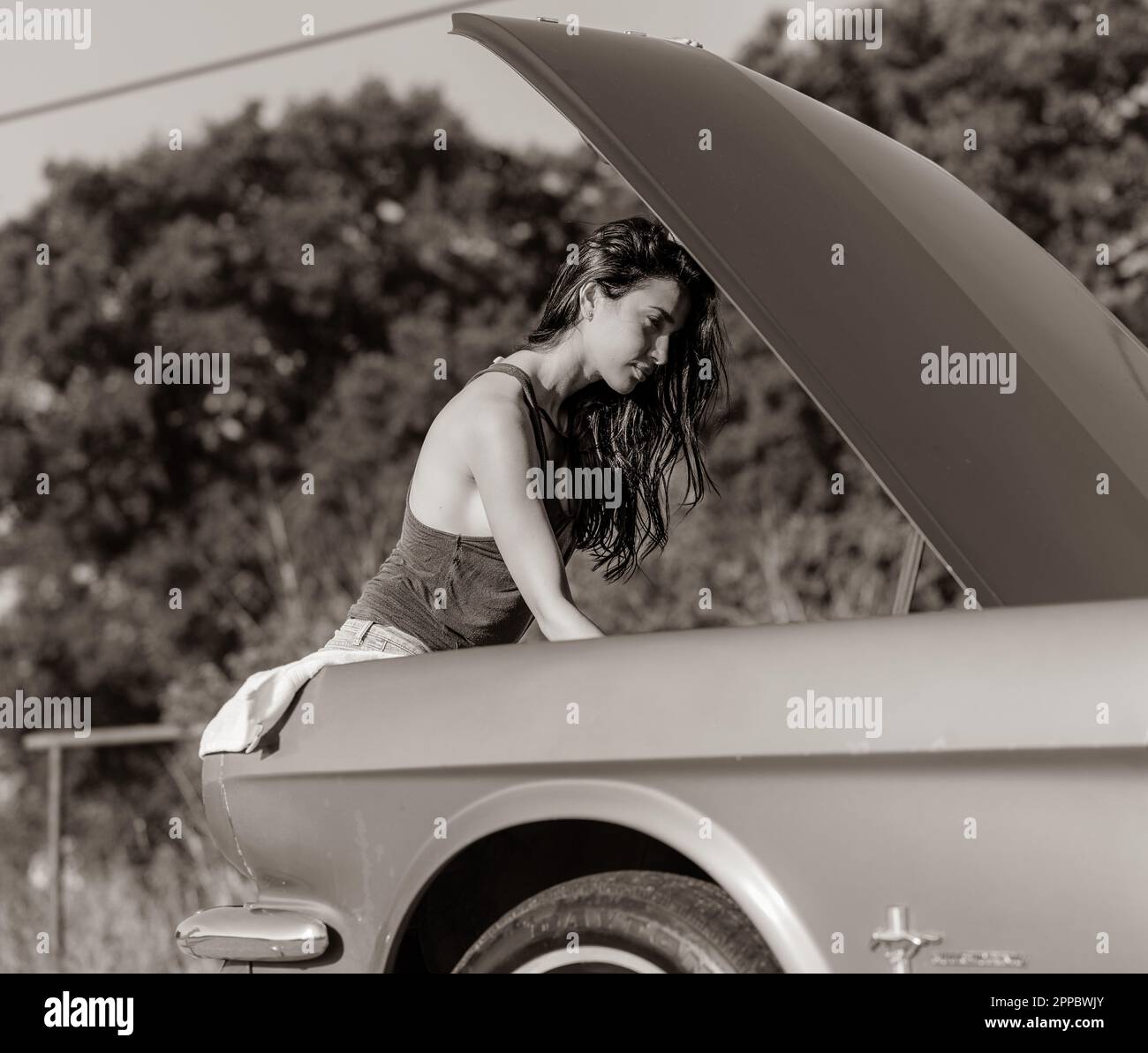 Giornate estive Foto Stock