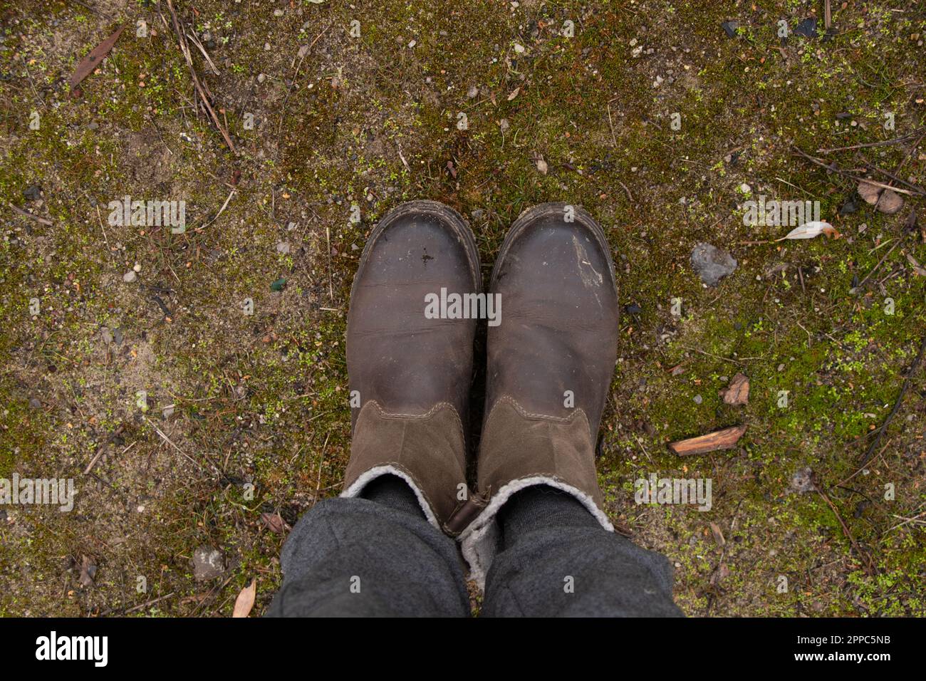 gambe femminili in pantaloni grigi e stivali marroni a terra nella foresta nel pomeriggio d'autunno per una passeggiata Foto Stock