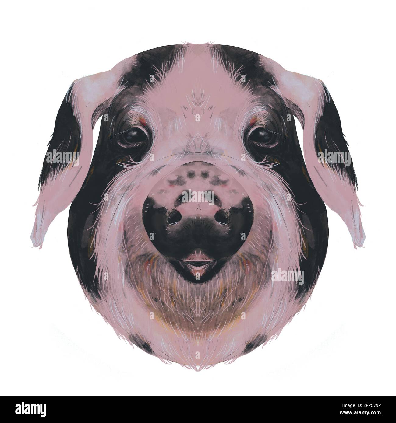 Illustrazione della testa di maiale su sfondo bianco. Tratti di acquerello. Animali oroscopi cinesi Foto Stock