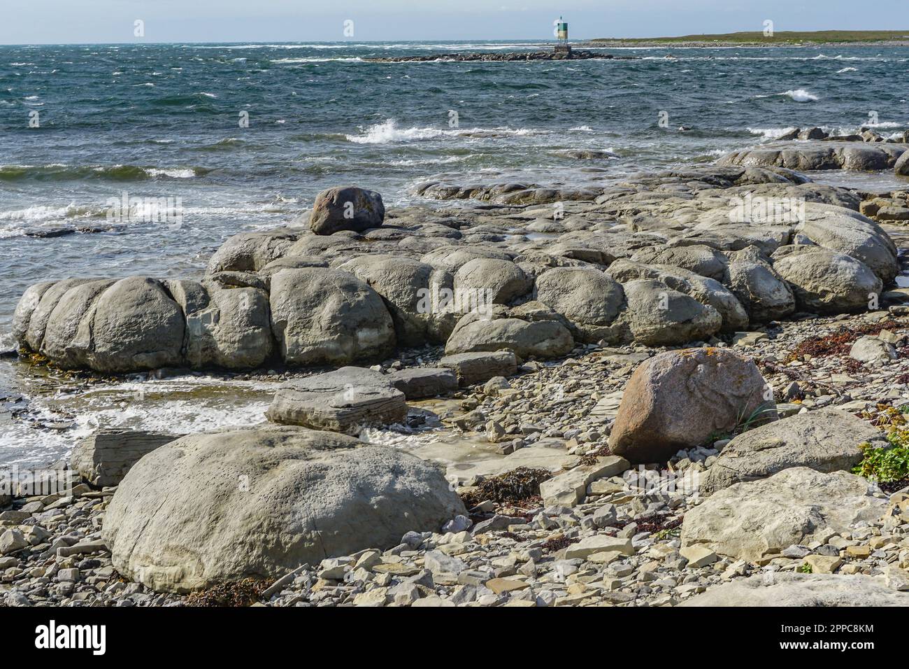 Flower’s Cove, Terranova, Canada: Uno dei due luoghi sulla Terra dove sono noti i tromboliti -- tumuli a forma di bun costruiti da microrganismi -- Foto Stock