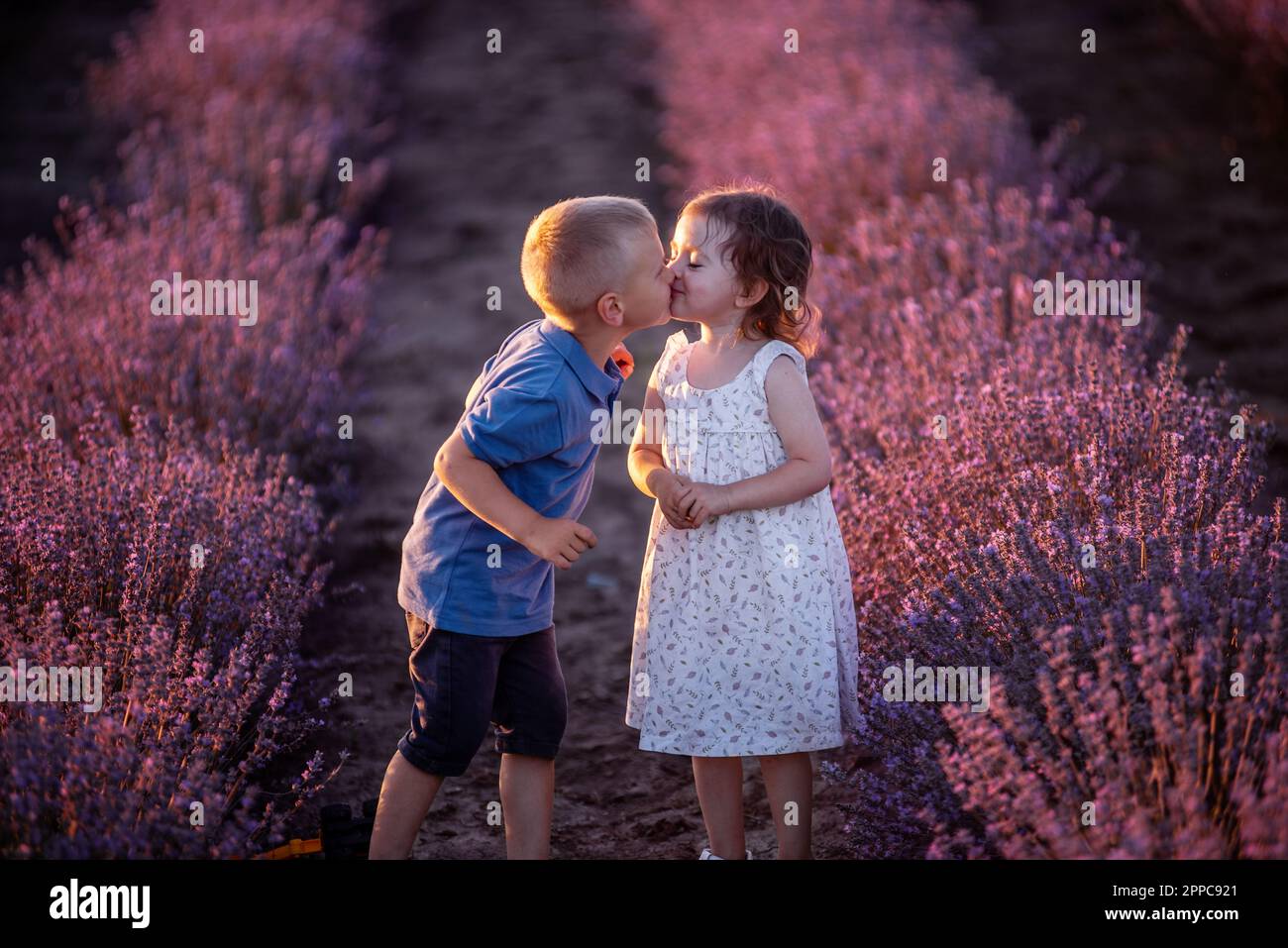Primo piano ritratto della bambina che bacia il ragazzo sulla guancia nelle file di campo di lavanda viola. Coppia carina amorevole dei bambini hanno divertimento nella natura. FAM Foto Stock