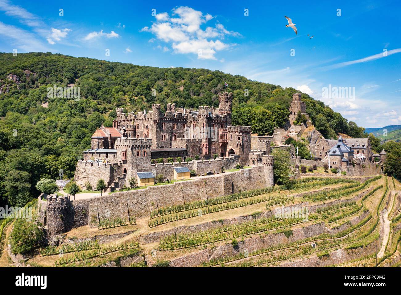 Castello di Reichenstein con Clemenskapelle, Trechtingshausen sul fiume Reno. Valle del Reno medio, Renania-Palatinato, Germania, Europa. Reichenstein Foto Stock